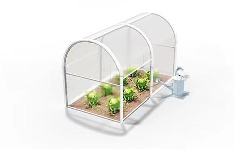 Парники — Парник Королевский — фото