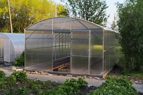 Прямостенные теплицы — Теплица Воля Прима-4 — фото